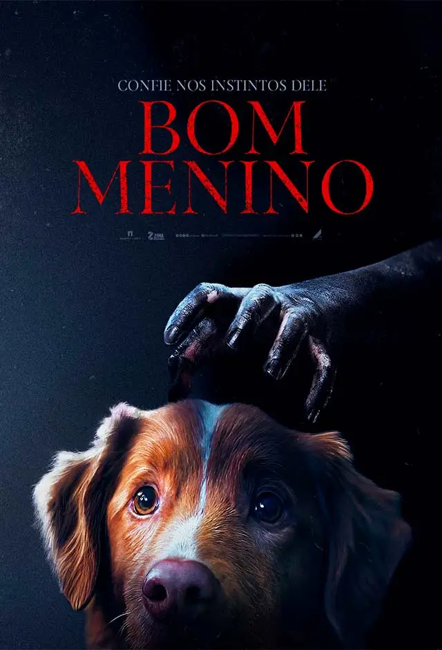 Cartaz de Bom Menino